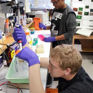 Students conduct research in VanderWerf Hall